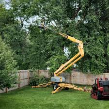 Best Hazardous Tree Removal  in Pocomoke City, MD