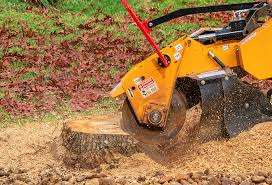 Best Tree Mulching Services  in Pocomoke City, MD